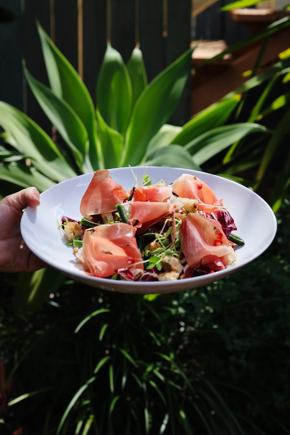 Grilled salmon with mash potatoes and vegetables